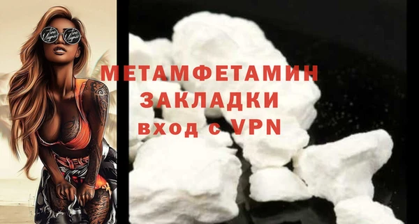 гидра Елизово