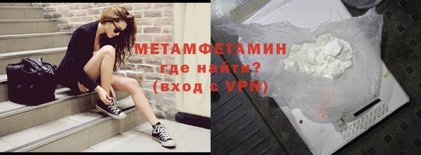 гидра Елизово