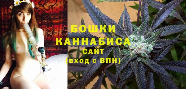 2c-b Ельня