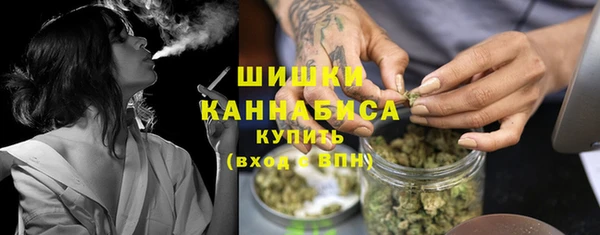 гидра Елизово