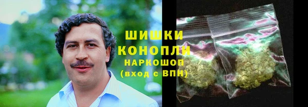 2c-b Ельня