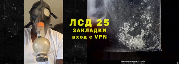 гидра Елизово
