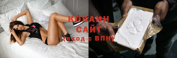 гидра Елизово