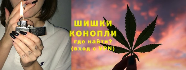 гидра Елизово