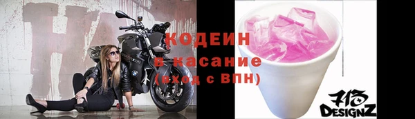 гидра Елизово