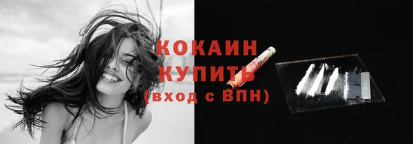 2c-b Ельня
