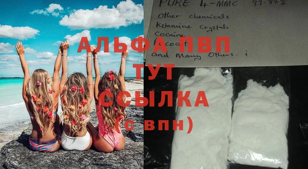 2c-b Ельня