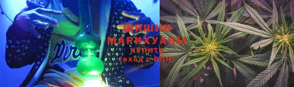 2c-b Ельня
