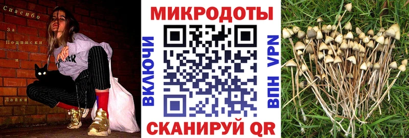 Галлюциногенные грибы Psilocybine cubensis  купить наркоту  Хабаровск 